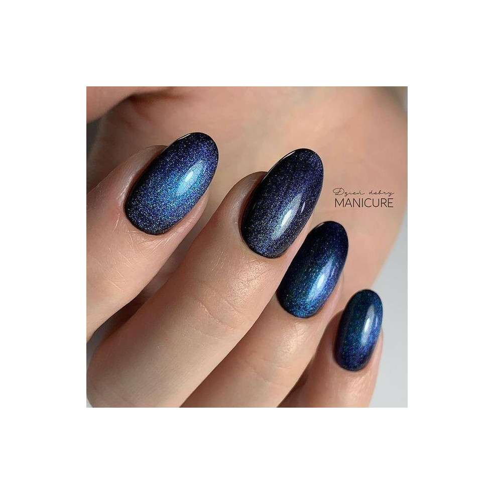Lakier hybrydowy Cat Eye 5D #010 NaiLac 7ml NaiLac - 5 Lakier hybrydowy Cat Eye 5D #010 NaiLac 7ml NaiLac - 5