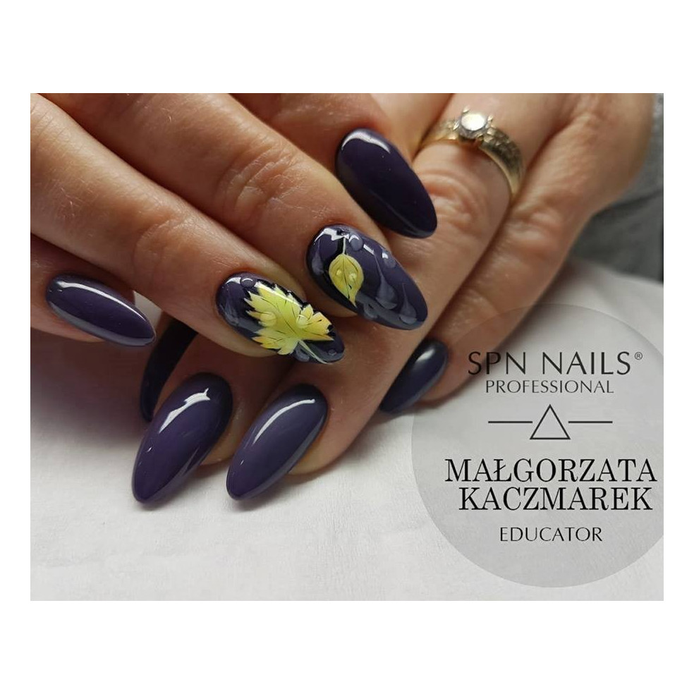 #089 Hybrid polish NaiLac 7ml