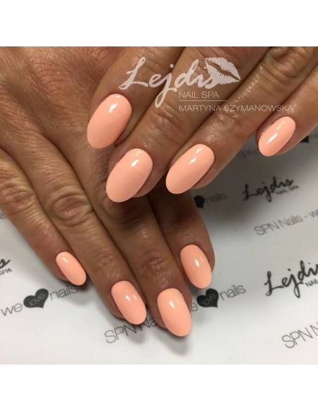 #133 Hybrid polish NaiLac 7ml