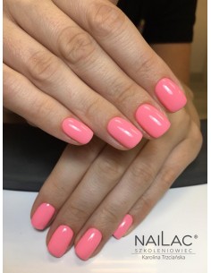#291 Lakier hybrydowy NaiLac 7ml 2